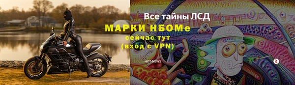 ГАЛЛЮЦИНОГЕННЫЕ ГРИБЫ Покровск